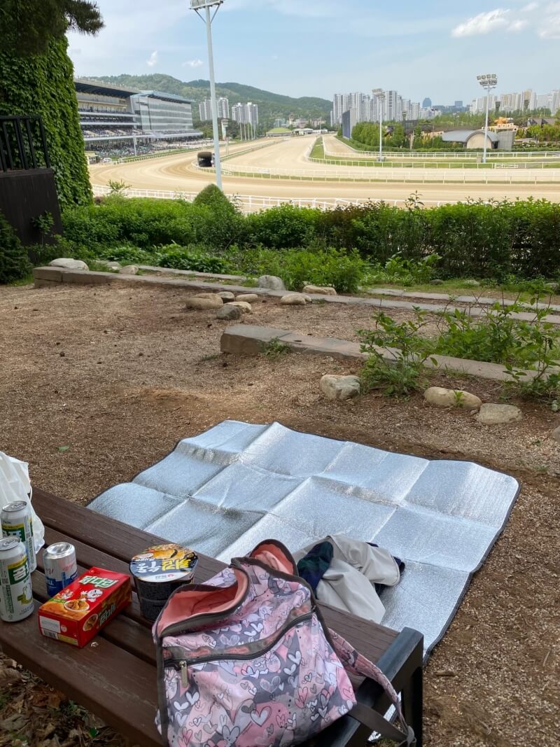 경마공원 내부가 보이는 곳에 돗자리를 편 모습