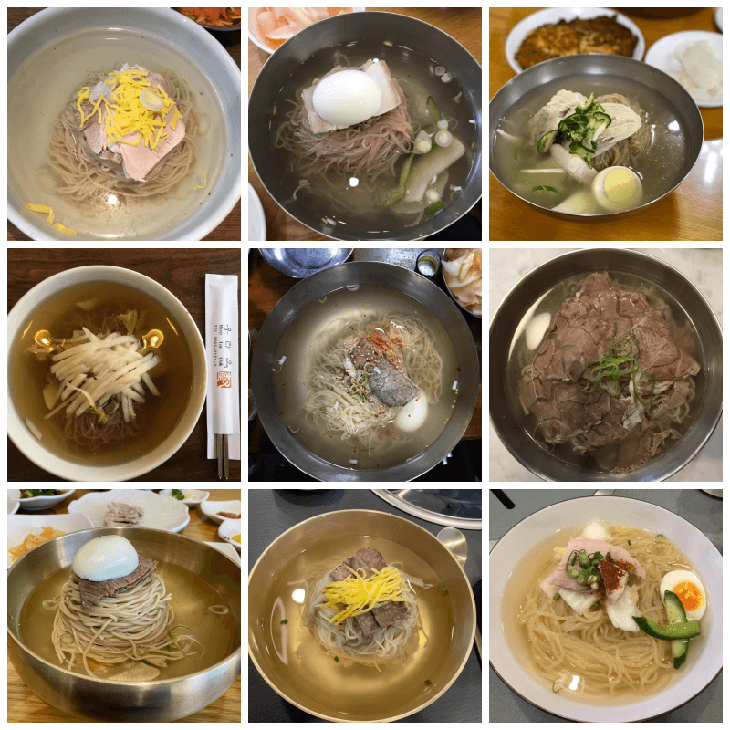 9가지 평양냉면을 바둑판처럼 배열한 사진